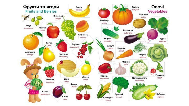 Перший словарь малюка. 500 слів - Пегас 9786178405427 BK-7298 фото