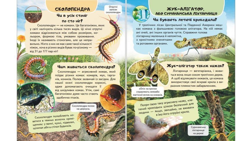 Енциклопедія Комахи та інші. Життя маленьких істот 9786178638337 BK-7360 фото