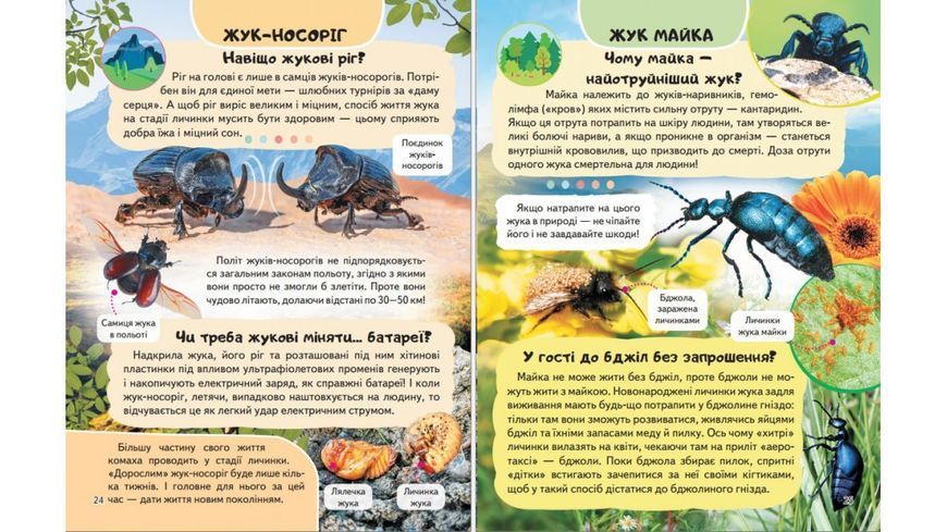 Енциклопедія Комахи та інші. Життя маленьких істот 9786178638337 BK-7360 фото