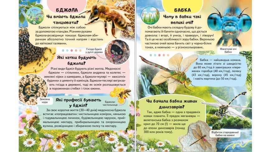 Енциклопедія Комахи та інші. Життя маленьких істот 9786178638337 BK-7360 фото