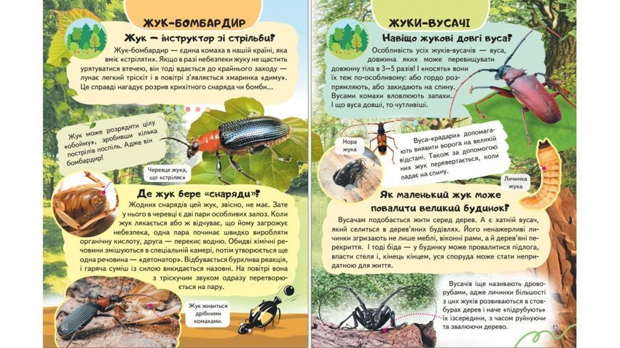 Енциклопедія Комахи та інші. Життя маленьких істот 9786178638337 BK-7360 фото