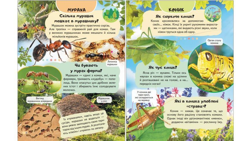 Енциклопедія Комахи та інші. Життя маленьких істот 9786178638337 BK-7360 фото